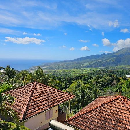 Fond-Saint-Denis Le Hameau Du Morne Des Cadetsヴィラ エクステリア 写真