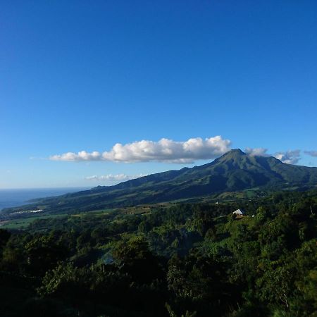 Fond-Saint-Denis Le Hameau Du Morne Des Cadetsヴィラ エクステリア 写真