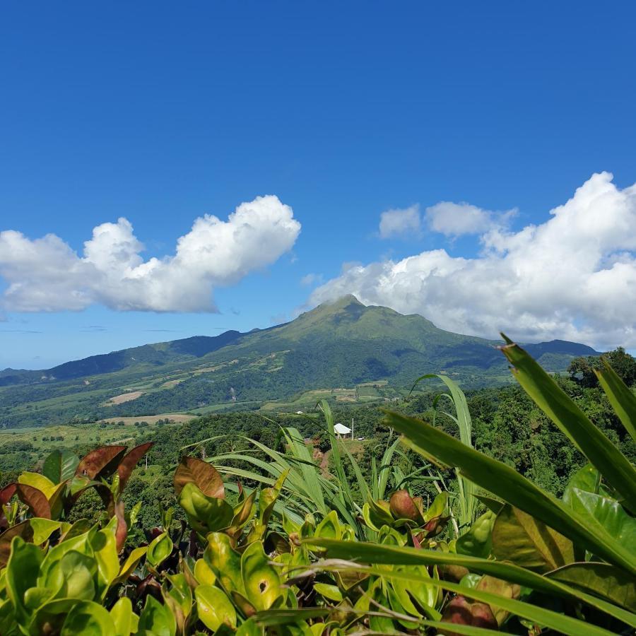 Fond-Saint-Denis Le Hameau Du Morne Des Cadetsヴィラ エクステリア 写真