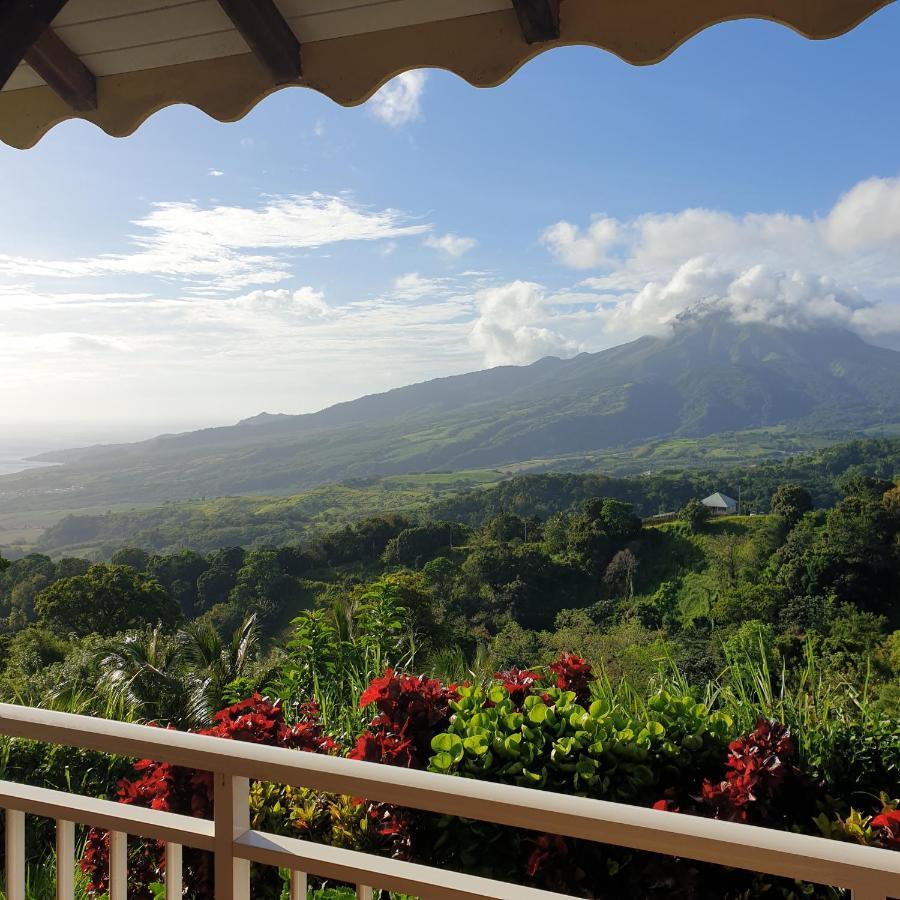 Fond-Saint-Denis Le Hameau Du Morne Des Cadetsヴィラ エクステリア 写真