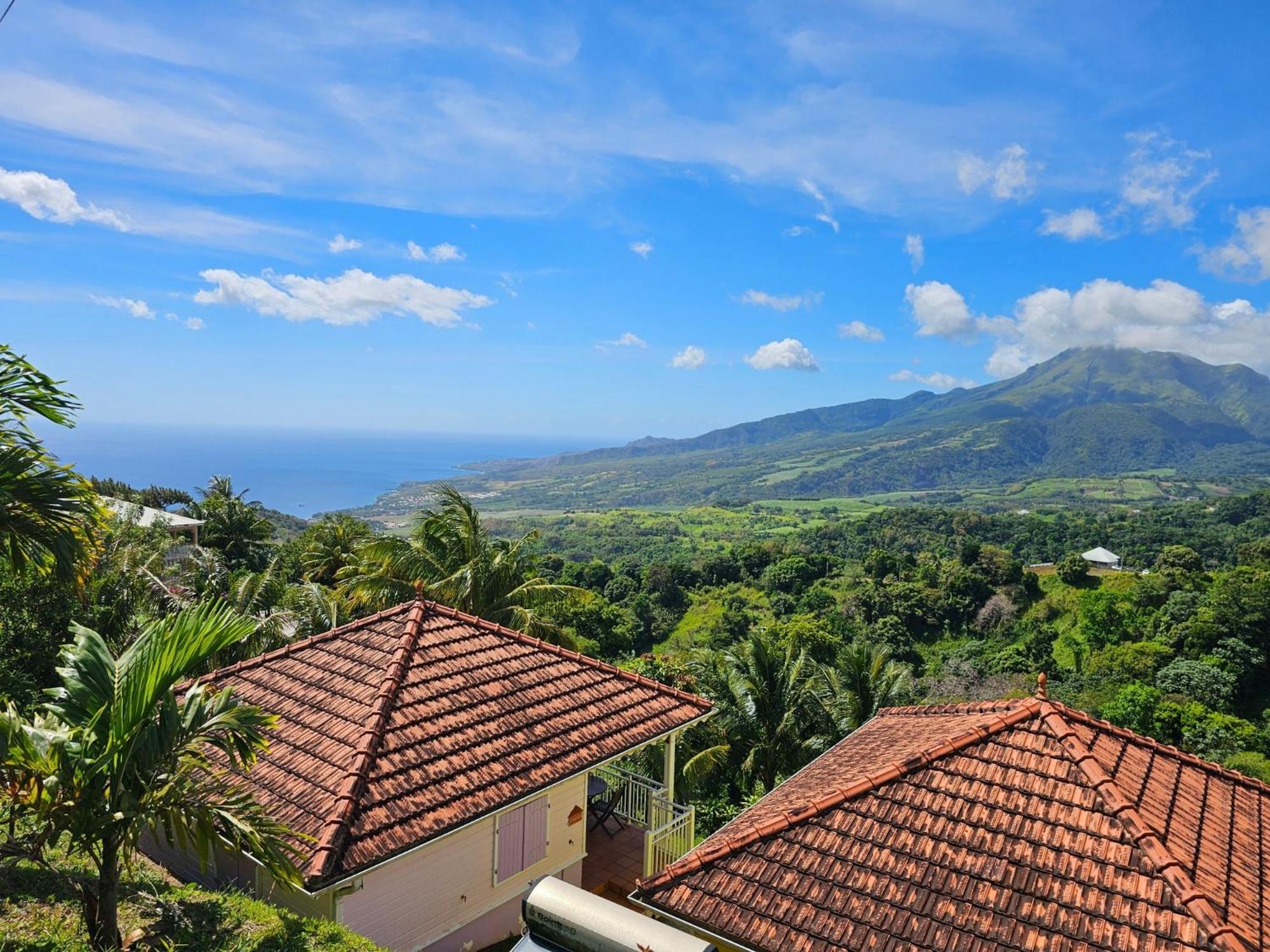 Fond-Saint-Denis Le Hameau Du Morne Des Cadetsヴィラ エクステリア 写真