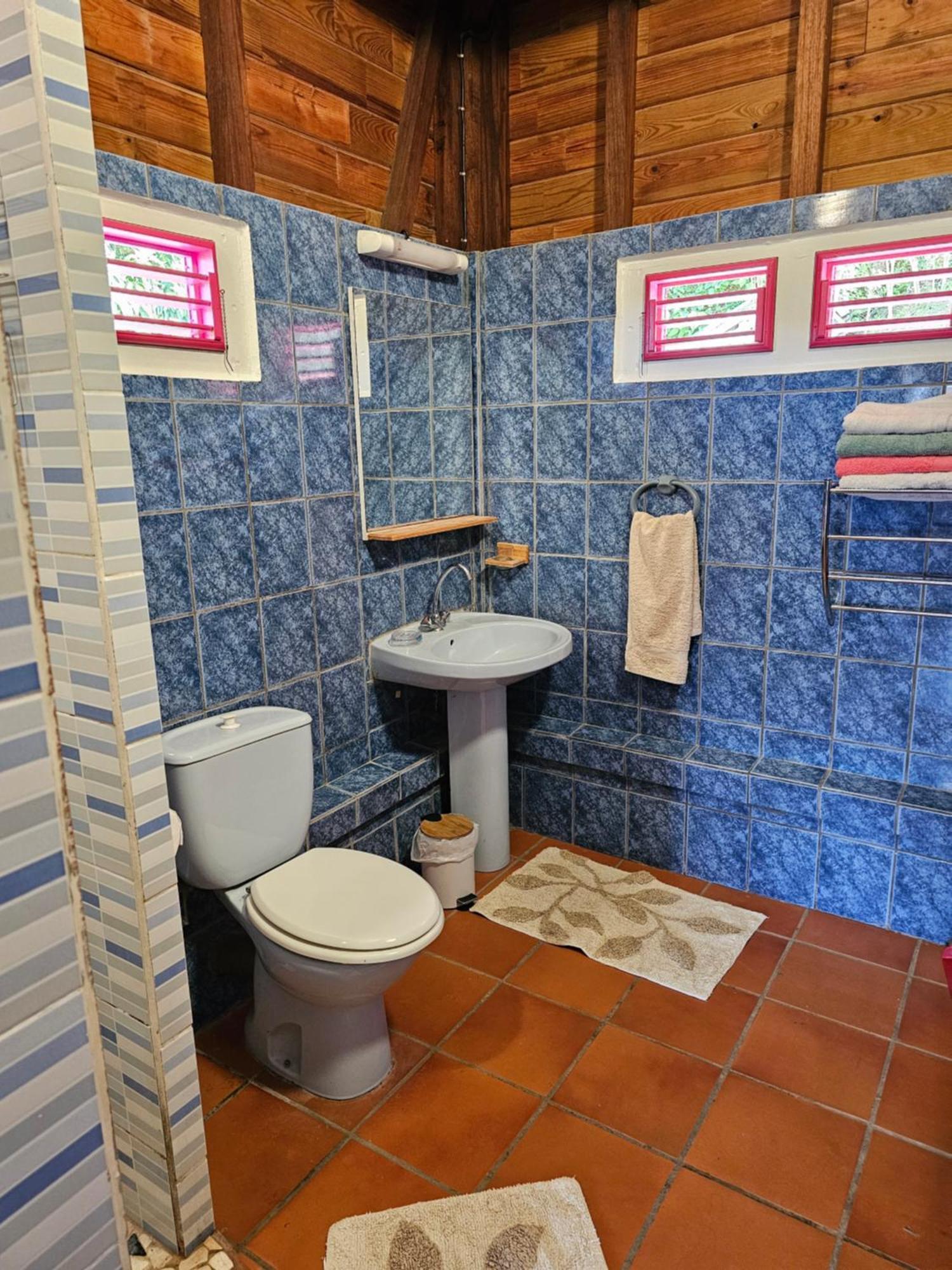 Fond-Saint-Denis Le Hameau Du Morne Des Cadetsヴィラ 部屋 写真