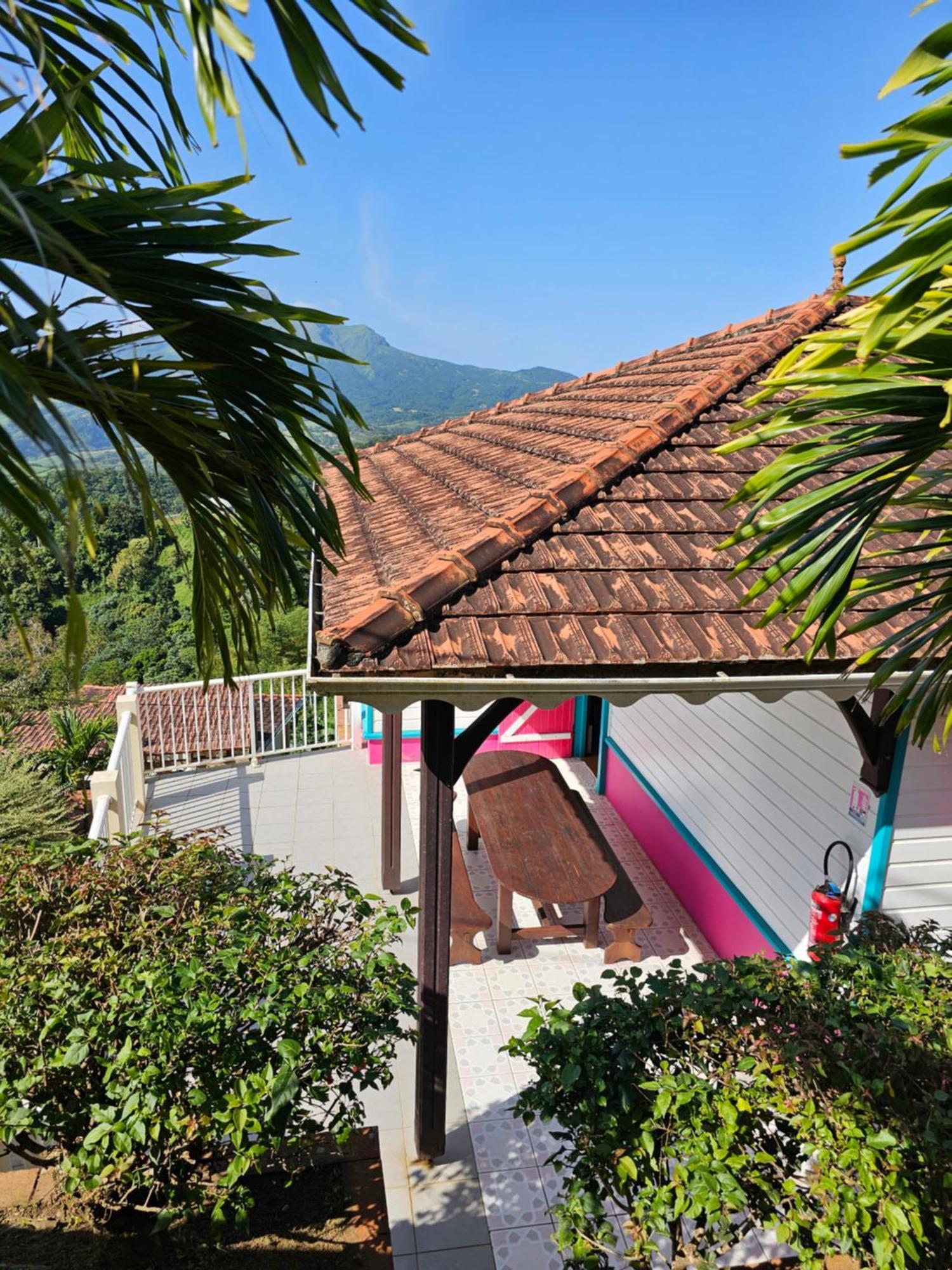 Fond-Saint-Denis Le Hameau Du Morne Des Cadetsヴィラ エクステリア 写真