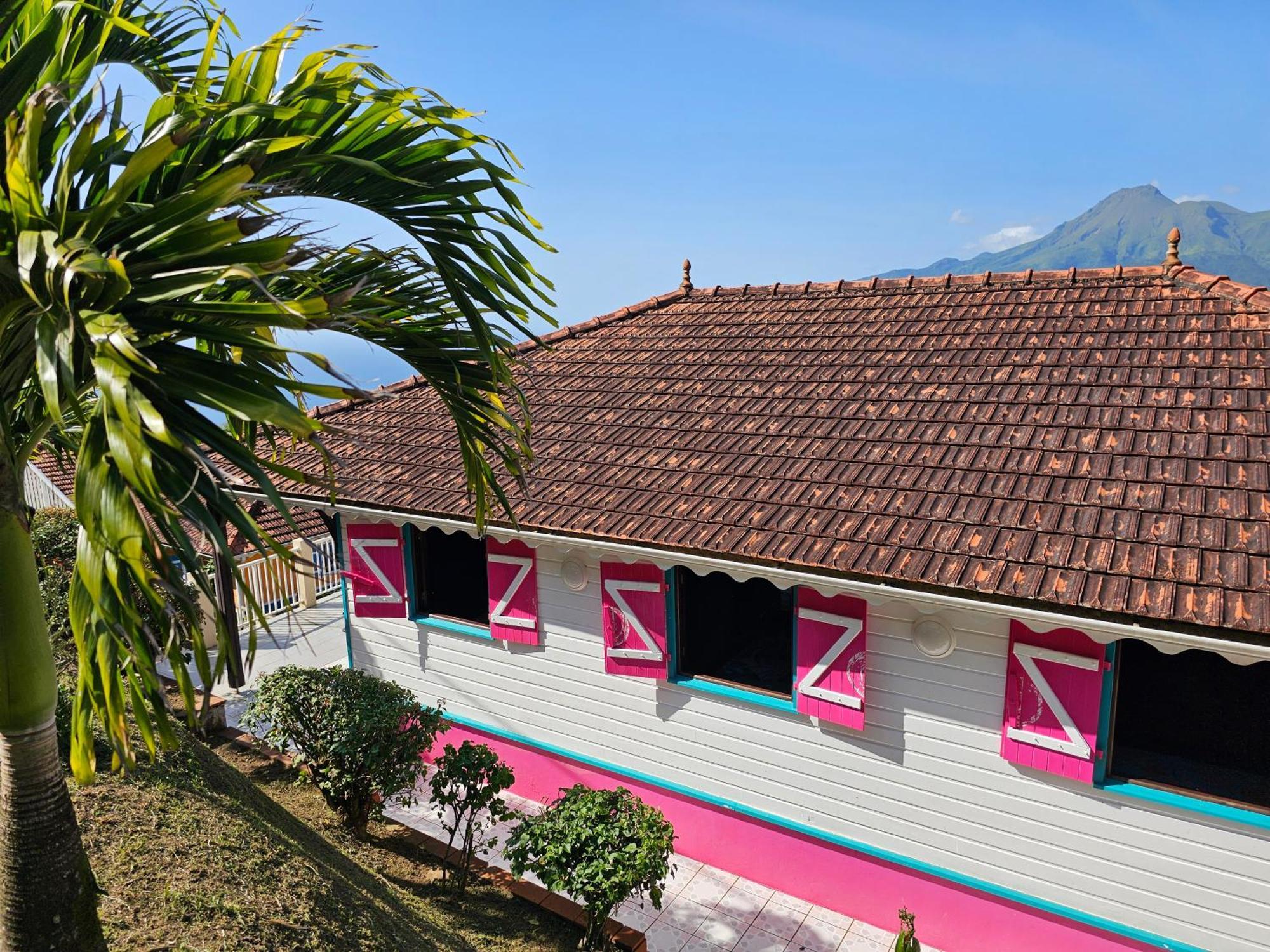 Fond-Saint-Denis Le Hameau Du Morne Des Cadetsヴィラ エクステリア 写真
