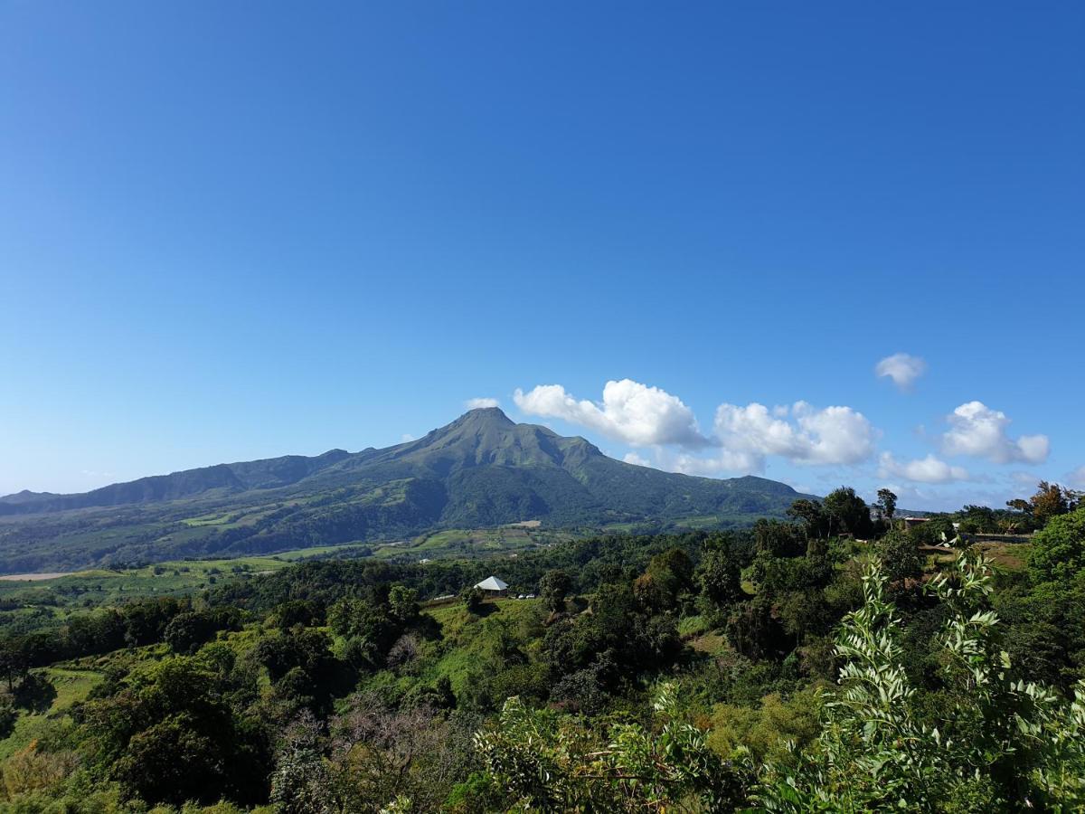 Fond-Saint-Denis Le Hameau Du Morne Des Cadetsヴィラ エクステリア 写真
