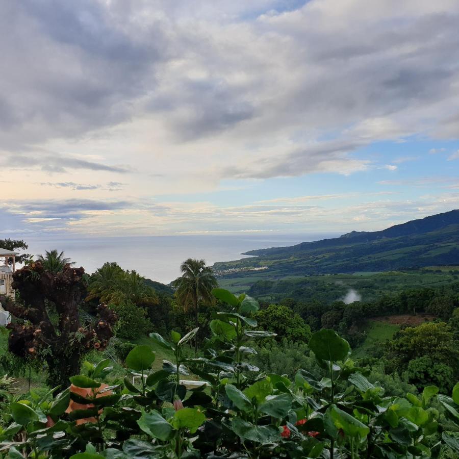 Fond-Saint-Denis Le Hameau Du Morne Des Cadetsヴィラ エクステリア 写真