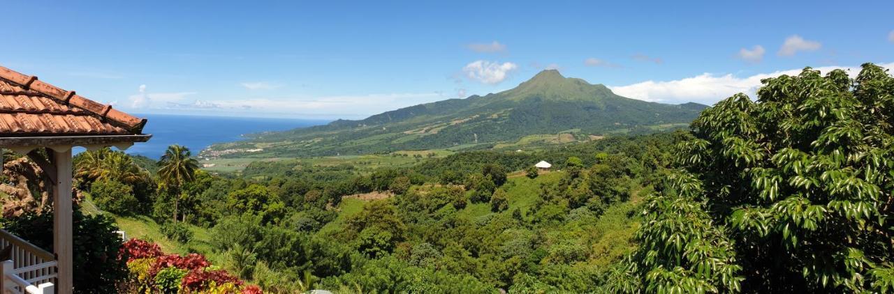 Fond-Saint-Denis Le Hameau Du Morne Des Cadetsヴィラ エクステリア 写真